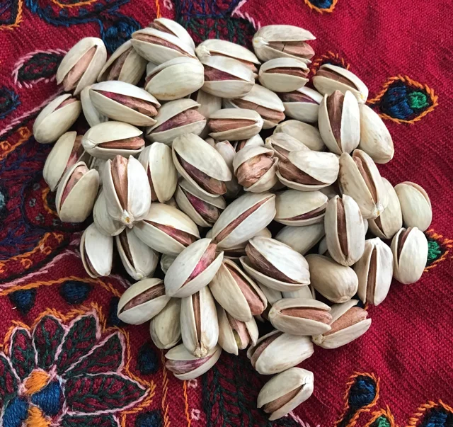 پسته اکبری دستچین - 1 کیلوگرم